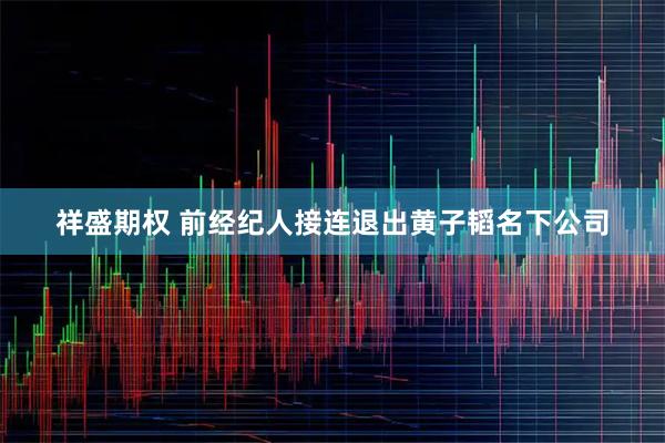 祥盛期权 前经纪人接连退出黄子韬名下公司