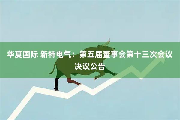 华夏国际 新特电气：第五届董事会第十三次会议决议公告