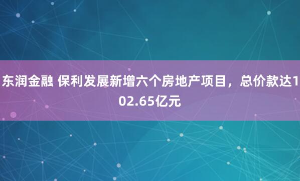 东润金融 保利发展新增六个房地产项目，总价款达102.65亿元