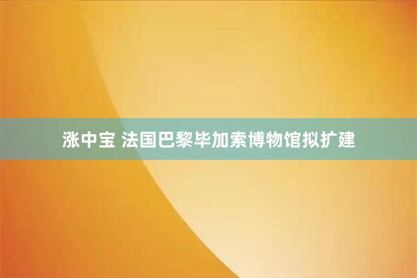 涨中宝 法国巴黎毕加索博物馆拟扩建