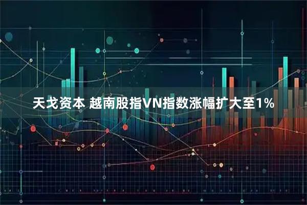 天戈资本 越南股指VN指数涨幅扩大至1%