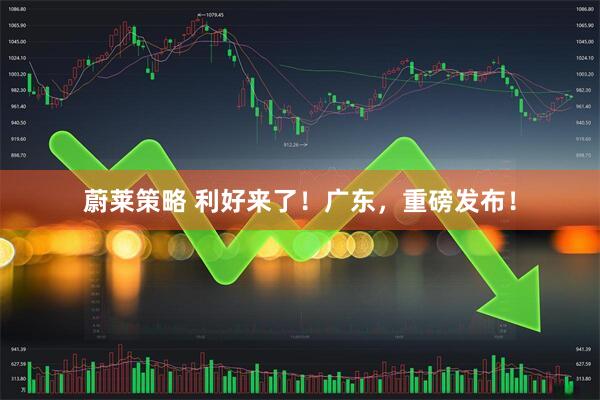 蔚莱策略 利好来了！广东，重磅发布！