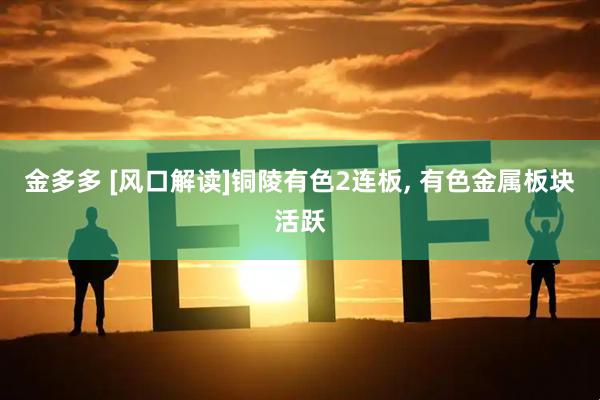 金多多 [风口解读]铜陵有色2连板, 有色金属板块活跃