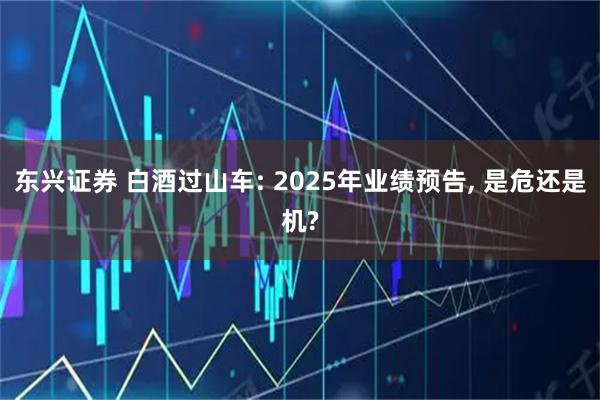 东兴证券 白酒过山车: 2025年业绩预告, 是危还是机?
