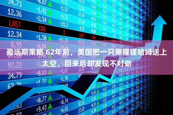 盈远期策略 62年前，美国把一只黑猩猩哈姆送上太空，回来后却发现不对劲