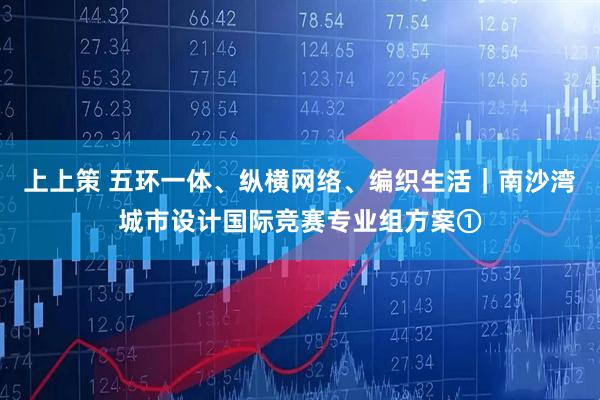 上上策 五环一体、纵横网络、编织生活｜南沙湾城市设计国际竞赛专业组方案①