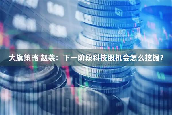 大旗策略 赵袭：下一阶段科技股机会怎么挖掘？
