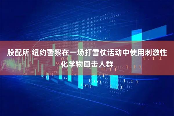 股配所 纽约警察在一场打雪仗活动中使用刺激性化学物回击人群
