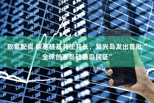 致富配资 碳基硅基共生共长，复兴岛发出首批“全球创客岛硅基岛民证”